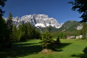 Il Montasio dalla Val Saisera