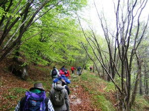 il ritorno alla forca di Ledis